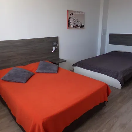 Hotei De La Montpellier Sud Hotel